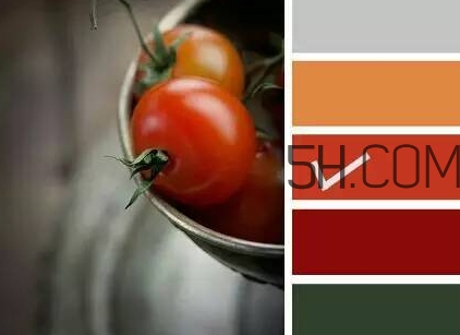 ϹɫʲôɫĿں죿ϹɫںƼ