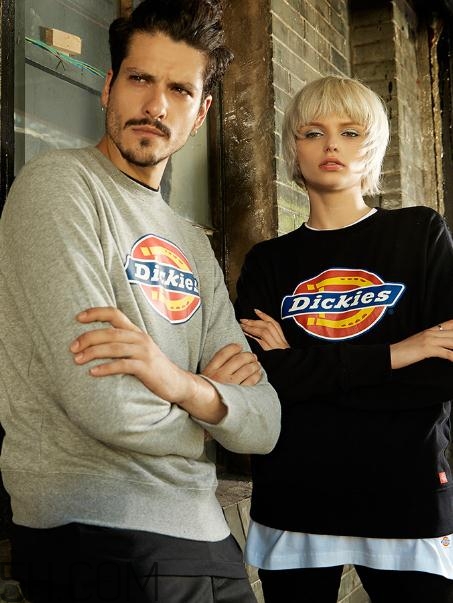 dickiesôdickiesʲôλ