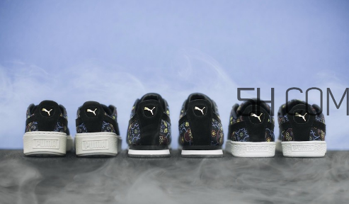 pumaīϵ˶Ьʱ_Ǯ